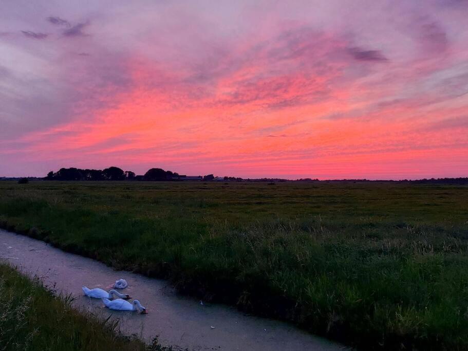 Tiny House "De Veenpolder" De Veenhoop Luaran gambar