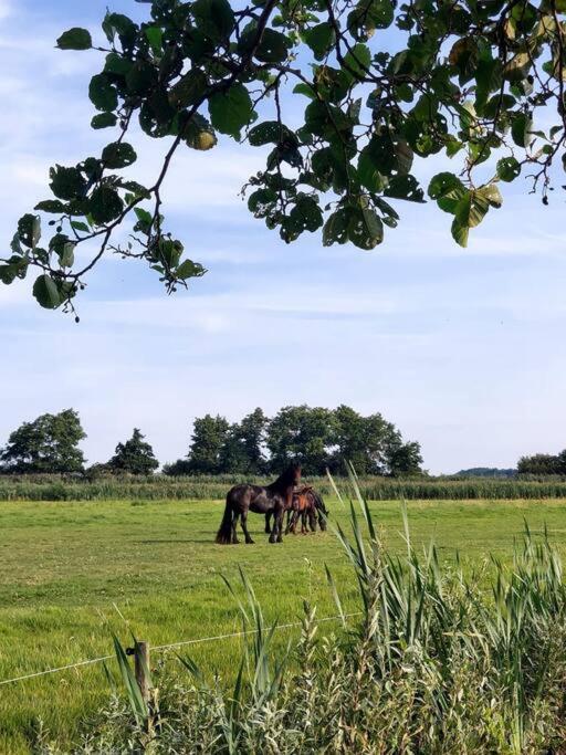 Tiny House "De Veenpolder" De Veenhoop Luaran gambar